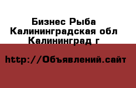 Бизнес Рыба. Калининградская обл.,Калининград г.